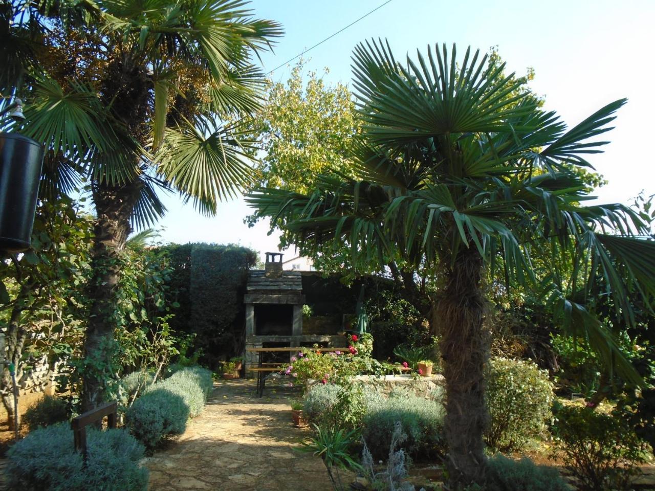 Villa Maria Novigrad Istria Eksteriør billede