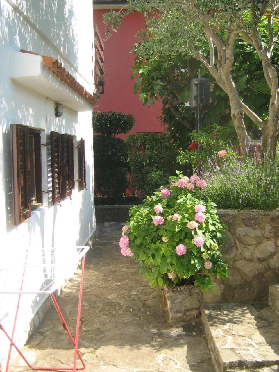 Villa Maria Novigrad Istria Eksteriør billede
