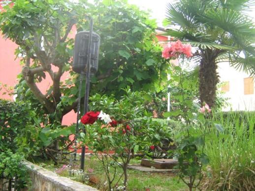 Villa Maria Novigrad Istria Eksteriør billede