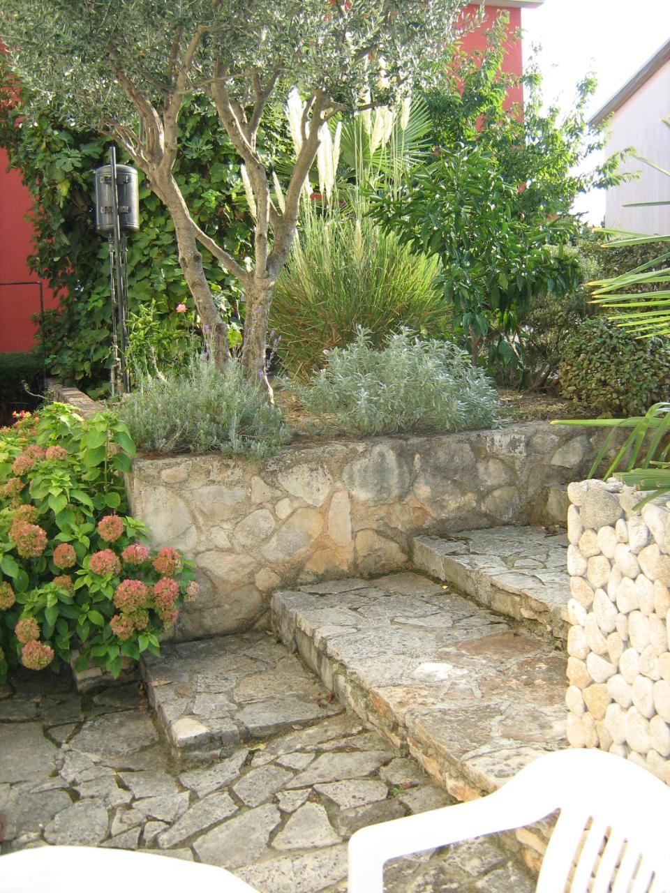 Villa Maria Novigrad Istria Eksteriør billede